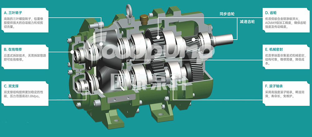 GS/DR系列凸轮榴莲视频在线观看污结构图