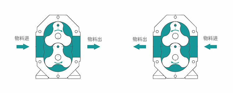 榴莲视频在线观看污试车注意事项
