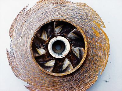 榴莲视频在线观看污叶轮