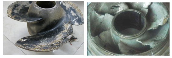 榴莲视频在线观看污叶轮