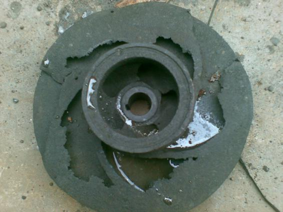 榴莲视频在线观看污叶轮