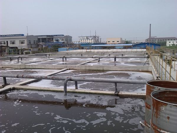 榴莲视频在线观看污在沉淀池污泥处理中的应用