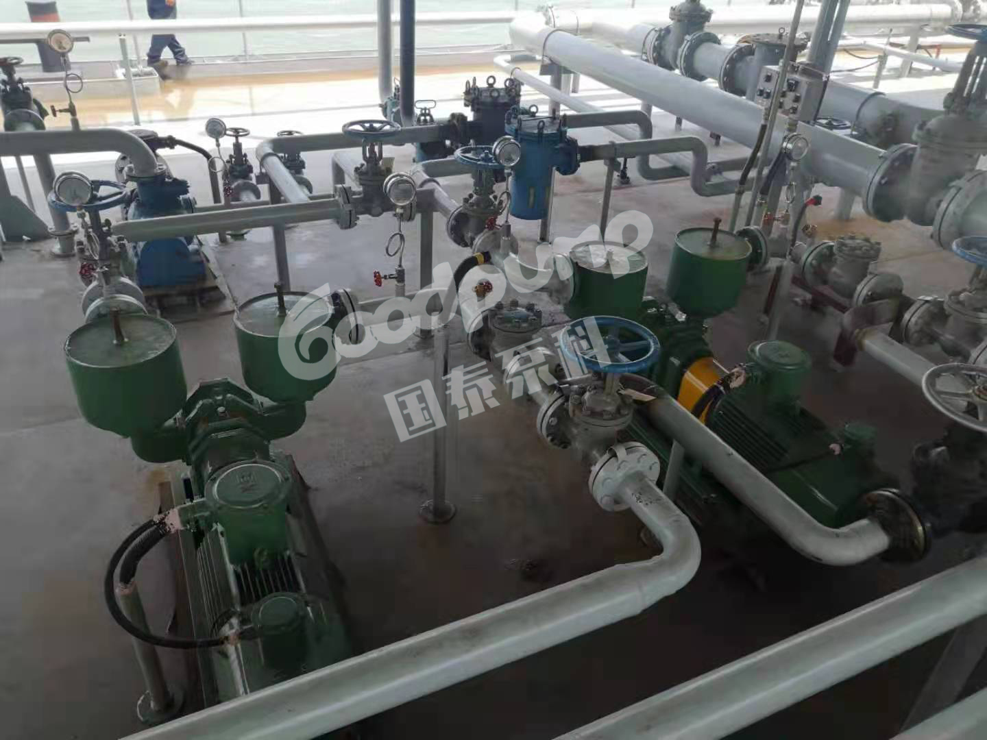 船用榴莲视频在线观看污