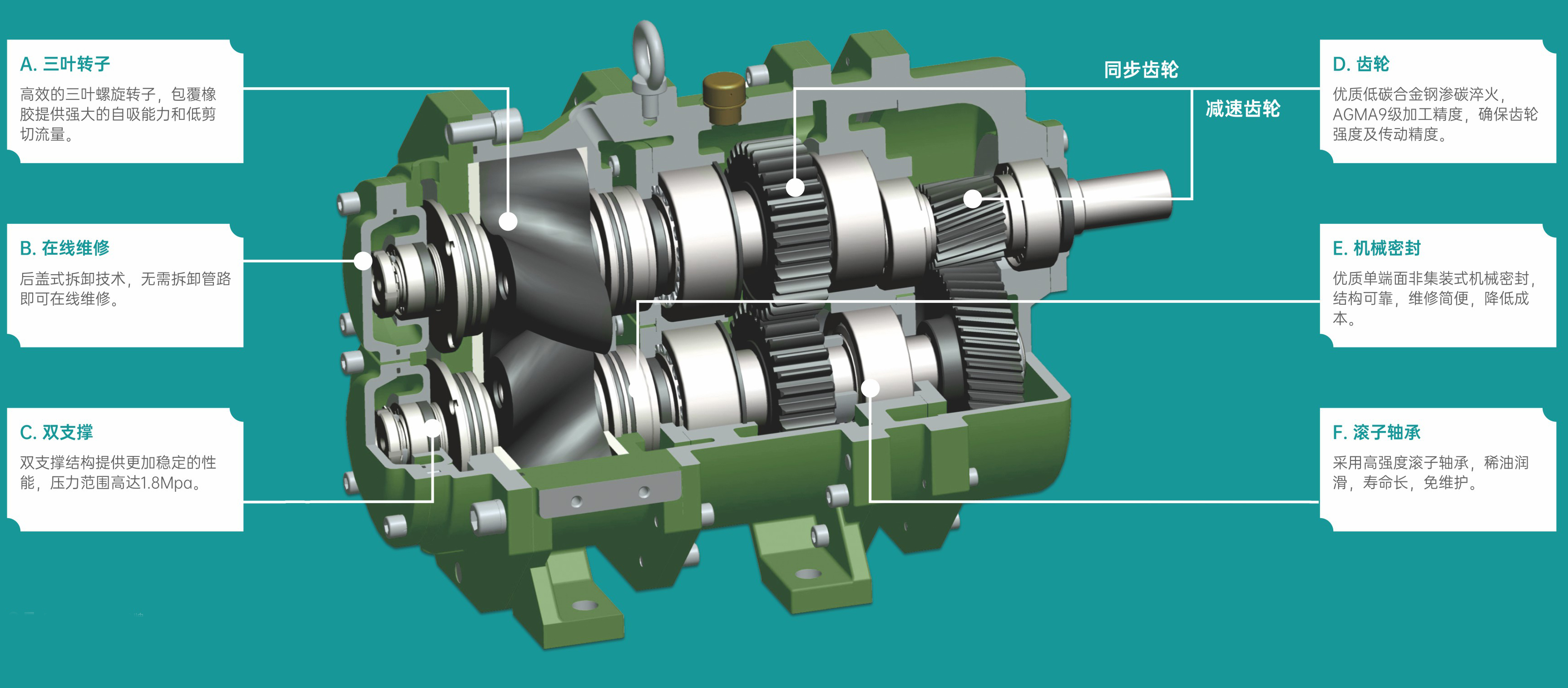 榴莲视频黄片凸轮泵
