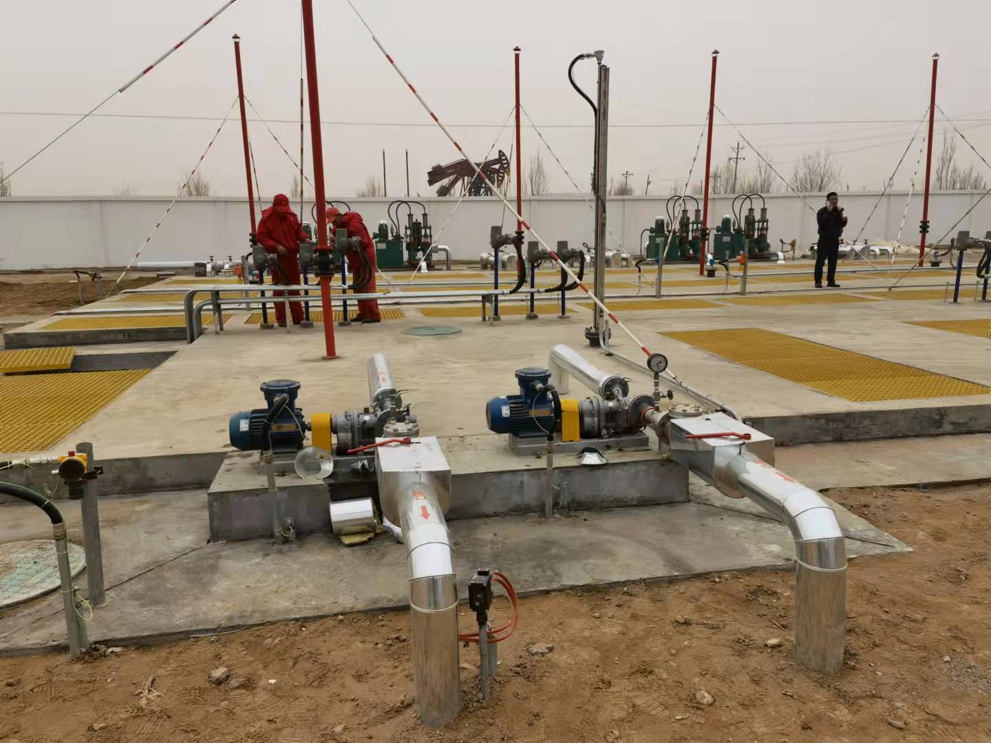 石油榴莲视频在线观看污